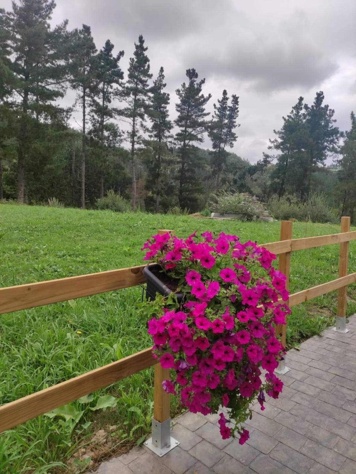 Caserio Ea Apartament